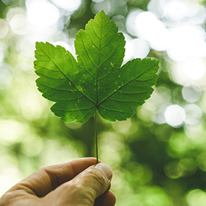 突发环境事件应急管理办法（环境保护部令第34号） ​